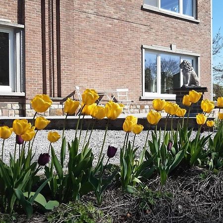 De Tuin Van Agatha Kortessem Exterior photo